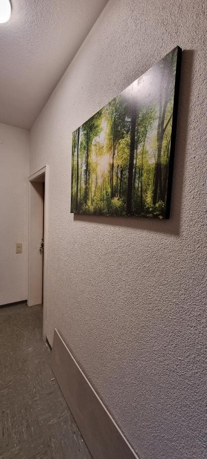 Waterfalls Apartment 2 Triberg im Schwarzwald Exteriör bild